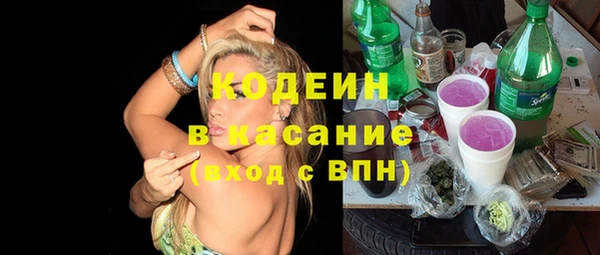 дурь Гусев