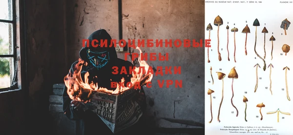 ALPHA PVP Гусь-Хрустальный