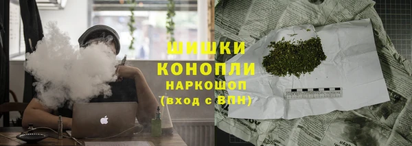 дурь Гусев