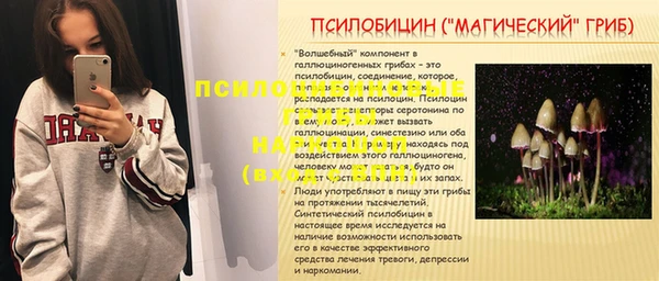 а пвп мука Гусиноозёрск