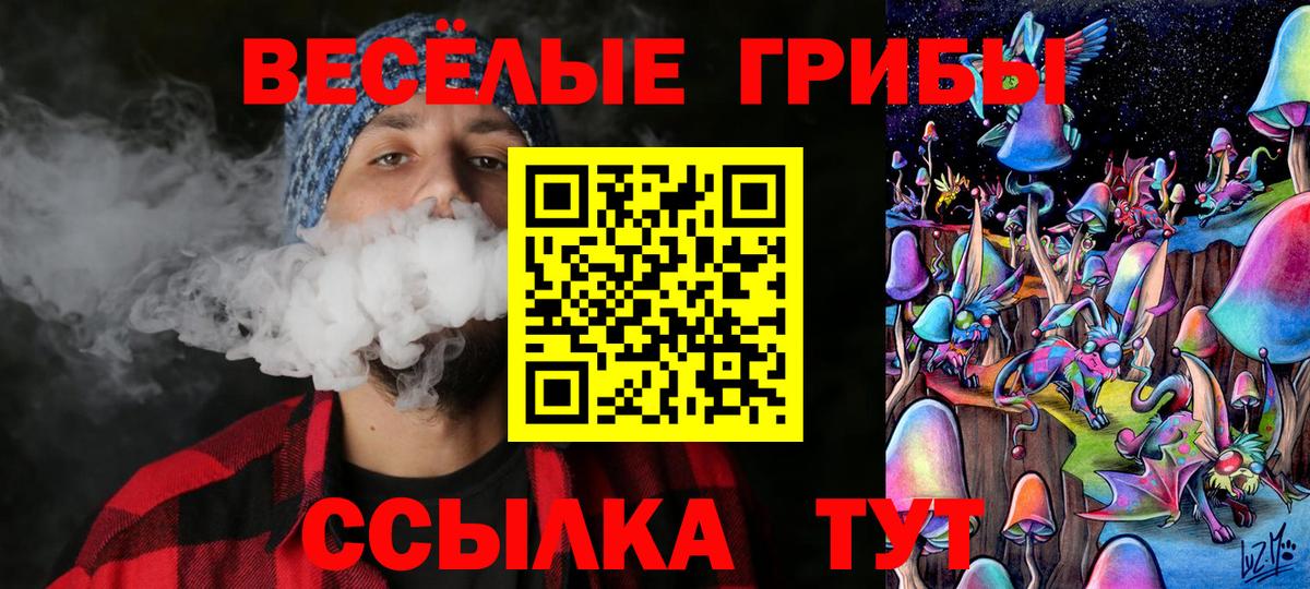 Можга  закладки  Вход с VPN  Галлюциногенные грибы Magic Shrooms 