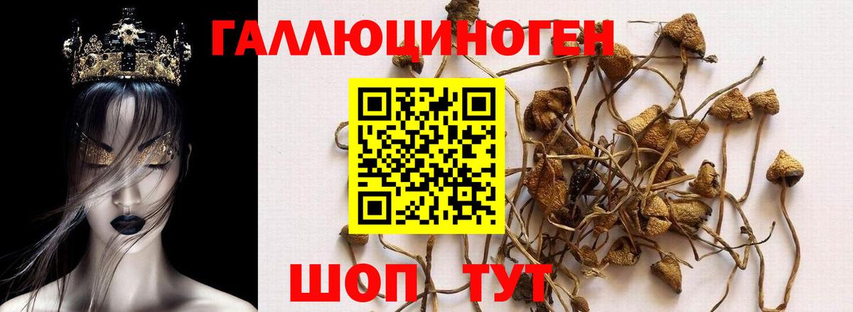 Псилоцибиновые грибы Magic Shrooms Можга